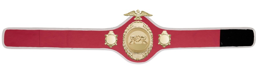 GRAPPLING CHAMPIONSHIP BELT - PRO288/G/GRAPG - 10 COLOURS